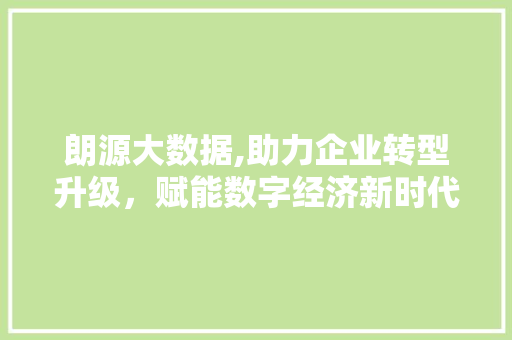 朗源大数据,助力企业转型升级，赋能数字经济新时代 软件技术