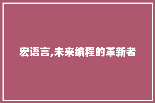 宏语言,未来编程的革新者 AI场景