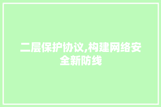 二层保护协议,构建网络安全新防线 人工智能