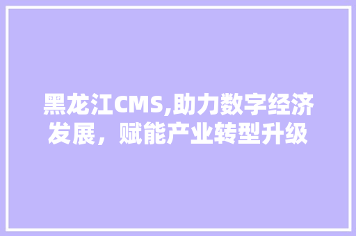 黑龙江CMS,助力数字经济发展，赋能产业转型升级 软件技术