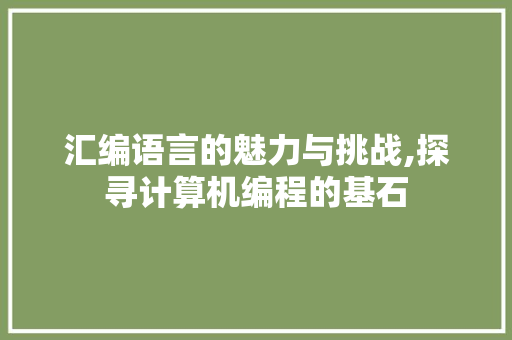 汇编语言的魅力与挑战,探寻计算机编程的基石 人工智能
