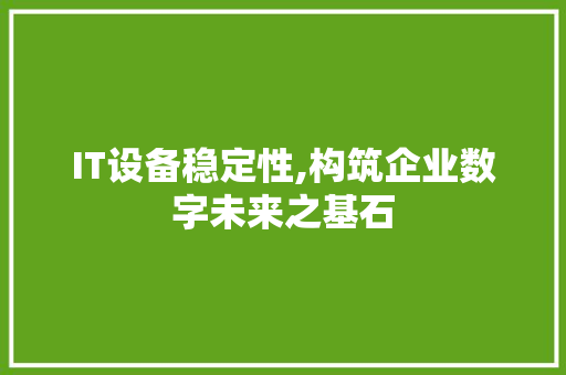 IT设备稳定性,构筑企业数字未来之基石 软件技术