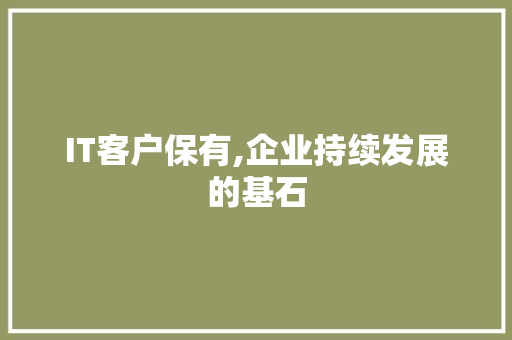 IT客户保有,企业持续发展的基石 软件技术