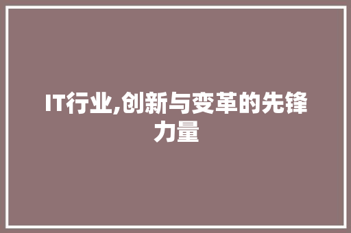 IT行业,创新与变革的先锋力量 AI场景