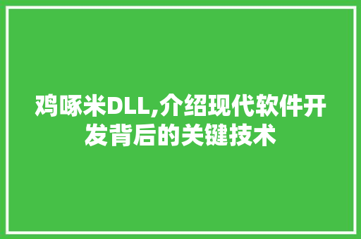 鸡啄米DLL,介绍现代软件开发背后的关键技术