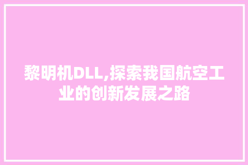 黎明机DLL,探索我国航空工业的创新发展之路 软件技术