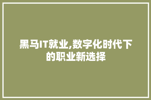 黑马IT就业,数字化时代下的职业新选择