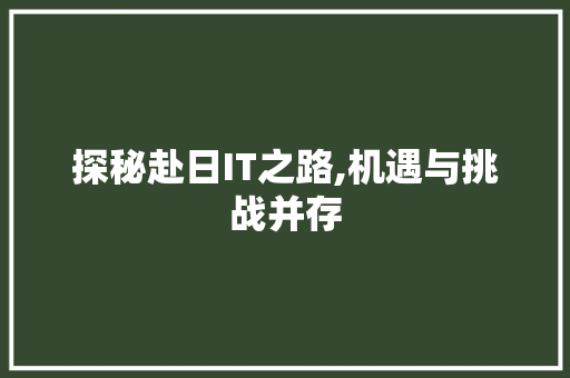 探秘赴日IT之路,机遇与挑战并存 AI场景
