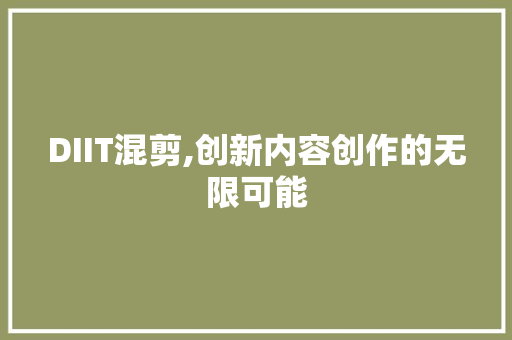 DIIT混剪,创新内容创作的无限可能