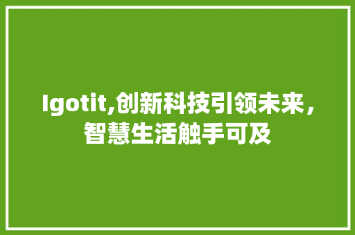 Igotit,创新科技引领未来，智慧生活触手可及 AI场景