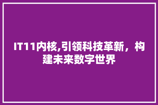 IT11内核,引领科技革新，构建未来数字世界