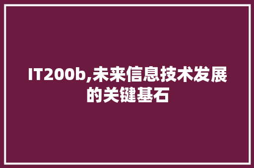 IT200b,未来信息技术发展的关键基石