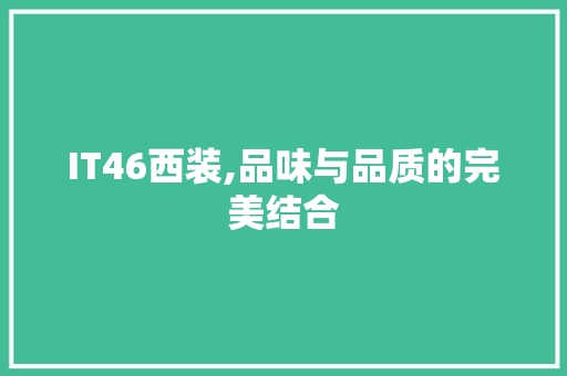 IT46西装,品味与品质的完美结合