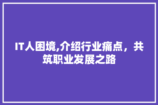 IT人困境,介绍行业痛点，共筑职业发展之路 智能科技