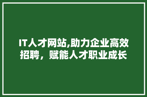 IT人才网站,助力企业高效招聘，赋能人才职业成长 软件技术