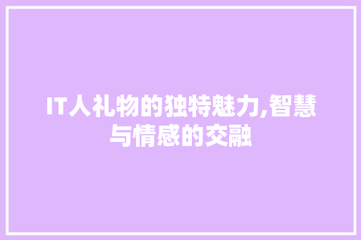 IT人礼物的独特魅力,智慧与情感的交融