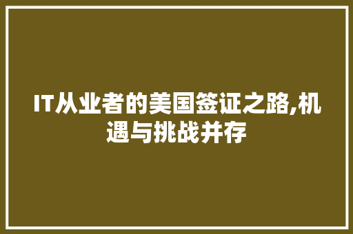 IT从业者的美国签证之路,机遇与挑战并存