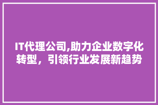 IT代理公司,助力企业数字化转型，引领行业发展新趋势