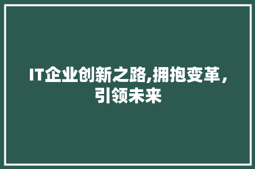 IT企业创新之路,拥抱变革，引领未来