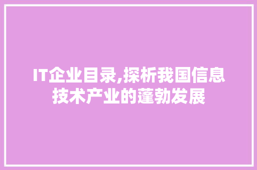 IT企业目录,探析我国信息技术产业的蓬勃发展