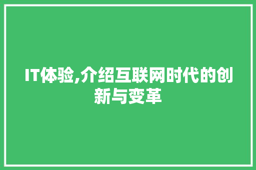 IT体验,介绍互联网时代的创新与变革 软件技术
