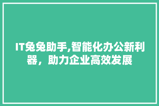 IT兔兔助手,智能化办公新利器，助力企业高效发展 智能科技