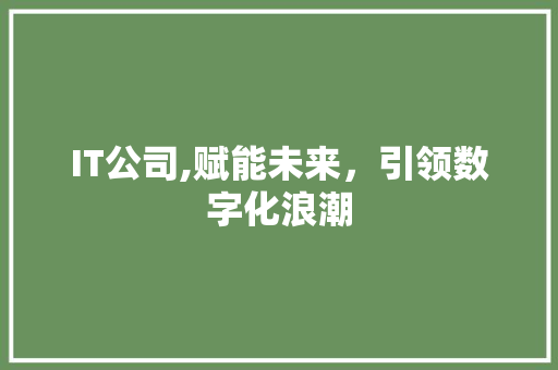 IT公司,赋能未来，引领数字化浪潮