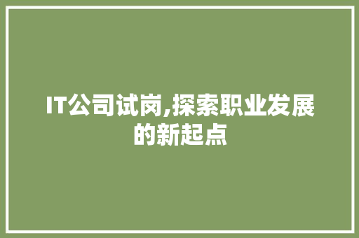 IT公司试岗,探索职业发展的新起点