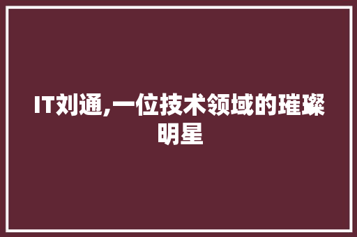 IT刘通,一位技术领域的璀璨明星
