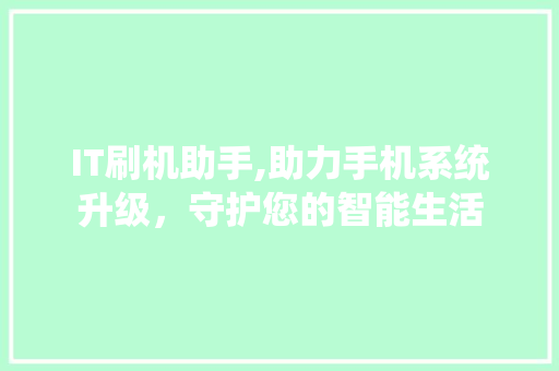 IT刷机助手,助力手机系统升级，守护您的智能生活