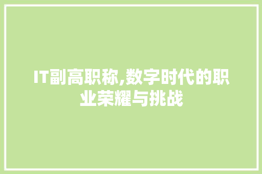 IT副高职称,数字时代的职业荣耀与挑战