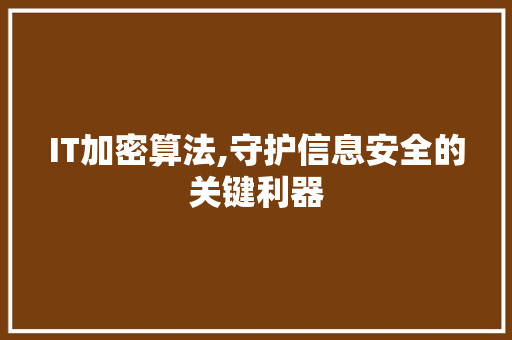 IT加密算法,守护信息安全的关键利器