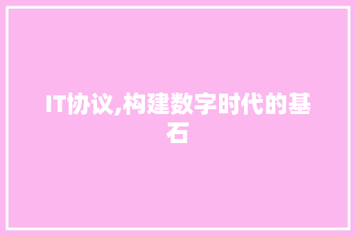IT协议,构建数字时代的基石 软件技术