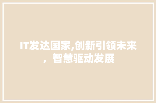 IT发达国家,创新引领未来，智慧驱动发展 人工智能