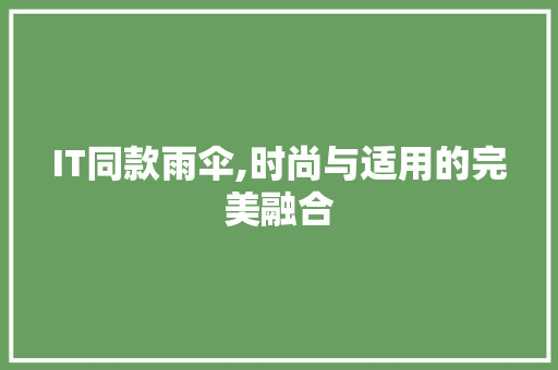 IT同款雨伞,时尚与适用的完美融合 AI场景