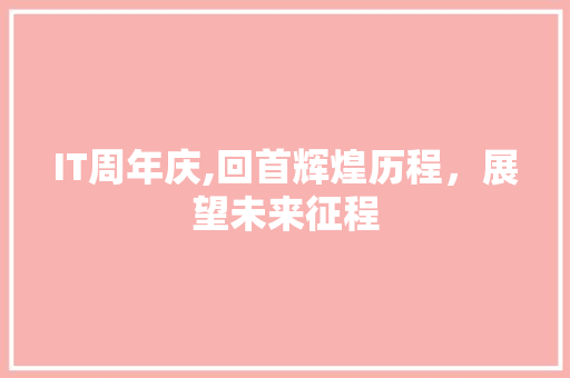 IT周年庆,回首辉煌历程，展望未来征程