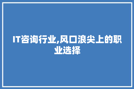 IT咨询行业,风口浪尖上的职业选择