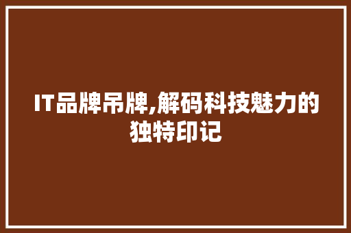 IT品牌吊牌,解码科技魅力的独特印记