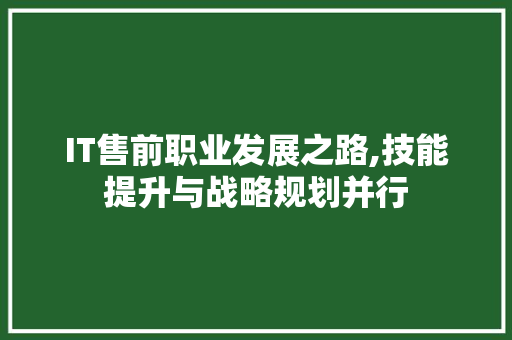 IT售前职业发展之路,技能提升与战略规划并行