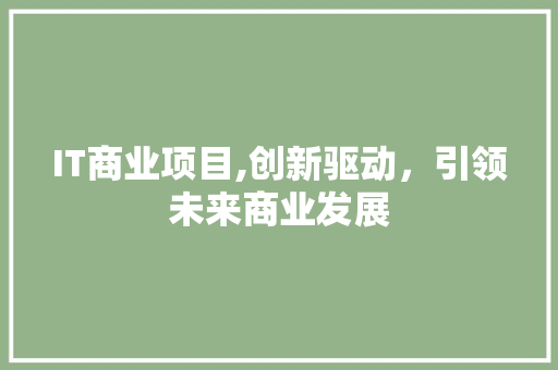 IT商业项目,创新驱动，引领未来商业发展