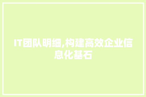 IT团队明细,构建高效企业信息化基石