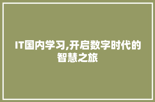 IT国内学习,开启数字时代的智慧之旅 AI场景