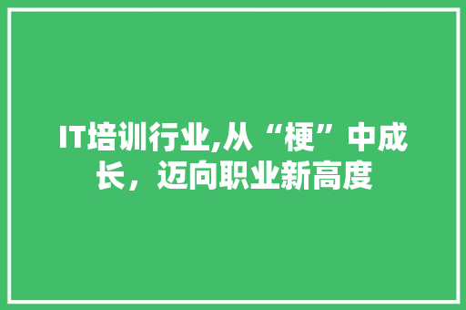 IT培训行业,从“梗”中成长，迈向职业新高度 智能科技