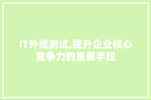 IT外维测试,提升企业核心竞争力的重要手段 智能科技