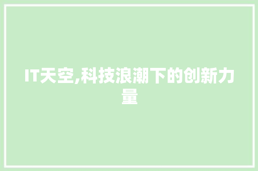 IT天空,科技浪潮下的创新力量 AI场景