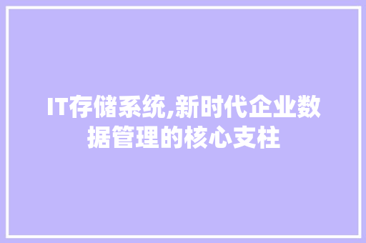 IT存储系统,新时代企业数据管理的核心支柱
