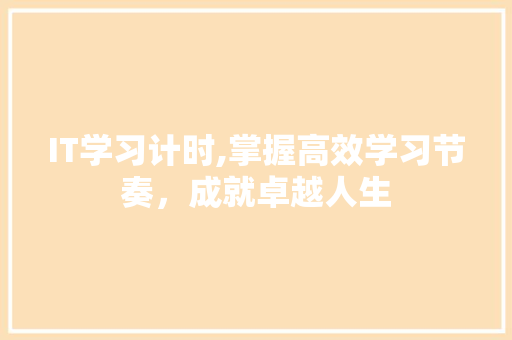 IT学习计时,掌握高效学习节奏，成就卓越人生