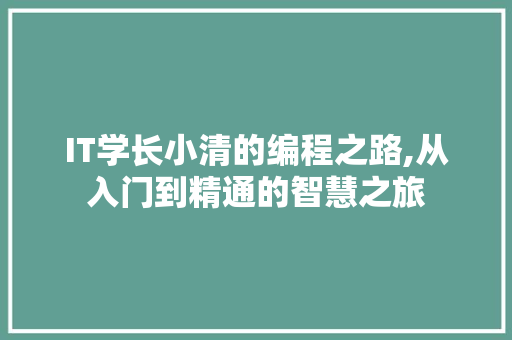 IT学长小清的编程之路,从入门到精通的智慧之旅
