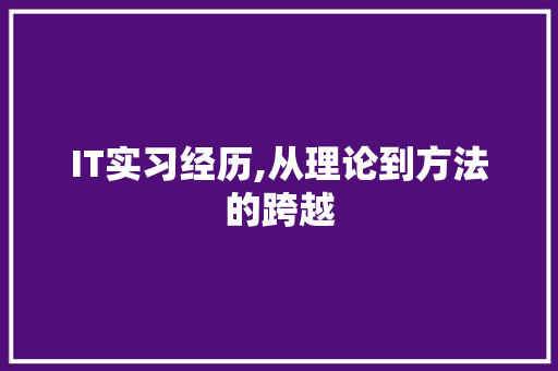 IT实习经历,从理论到方法的跨越 软件技术