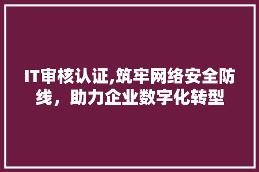 IT审核认证,筑牢网络安全防线，助力企业数字化转型 软件技术